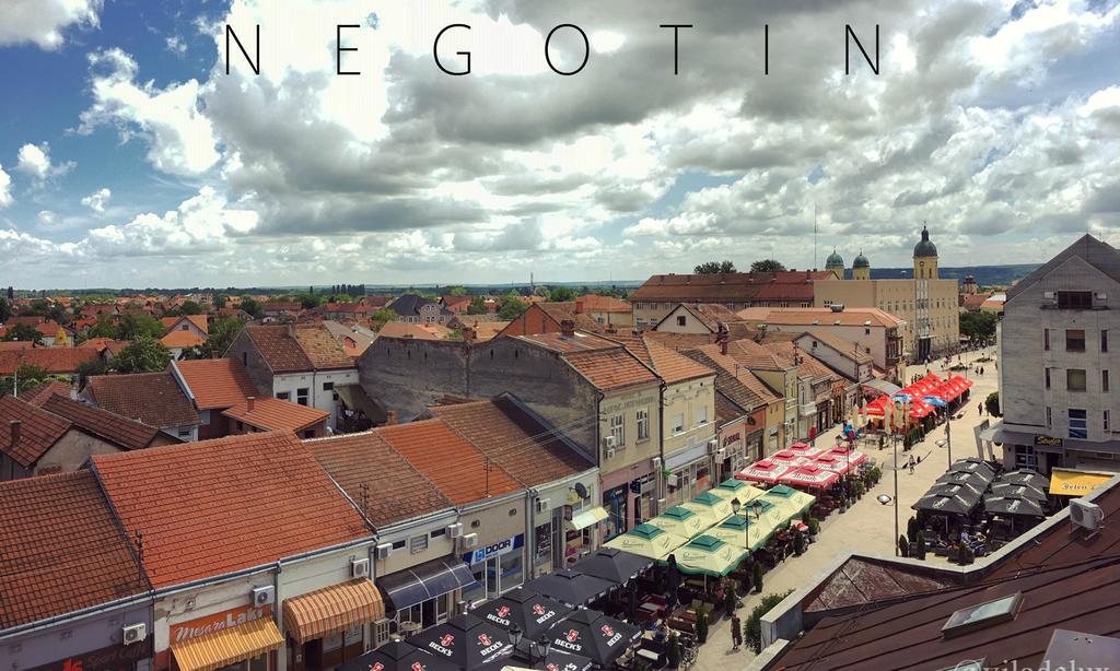 Vila Delux Negotin Luaran gambar